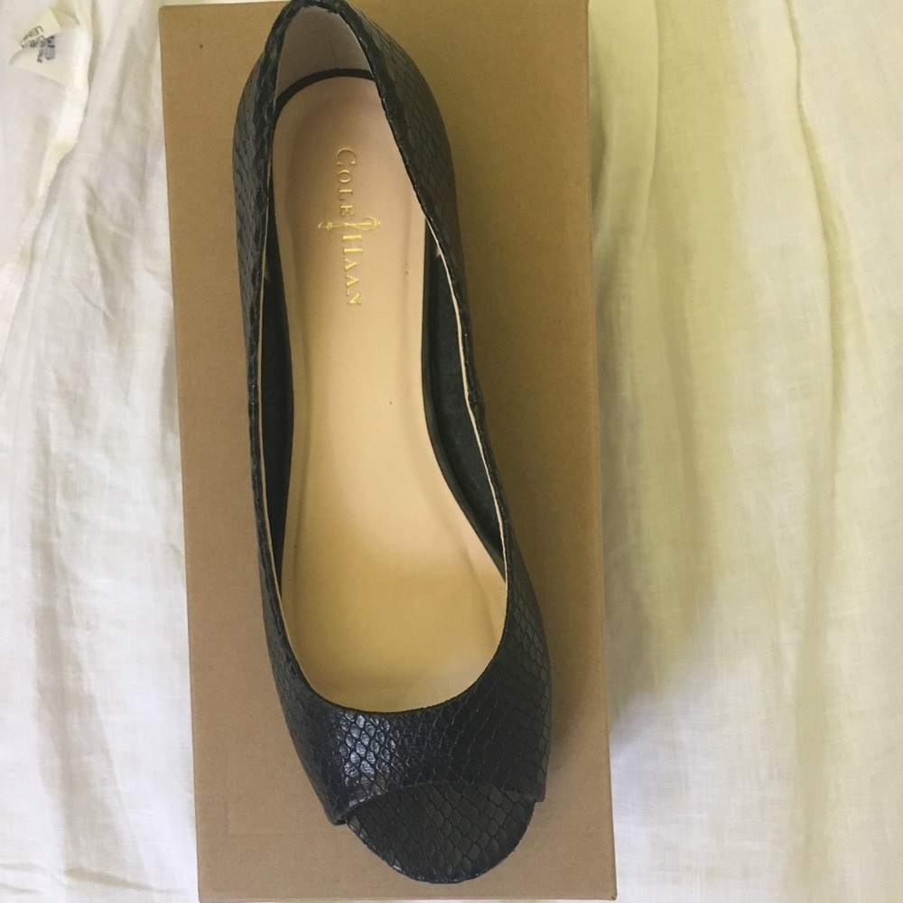 Cole Haan Ballet Flat